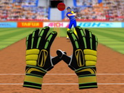 Game Cricket Fielder Challenge hay