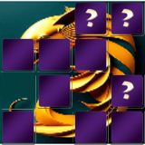 Hippocampus Memory Match