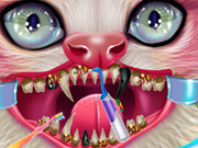 Kitty Dental Caring