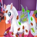 Magic Pet Salon