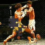 MMA Fighters Jigsaw