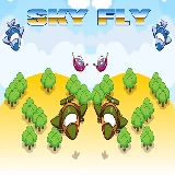 Sky Fly