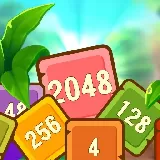 Khối 2048